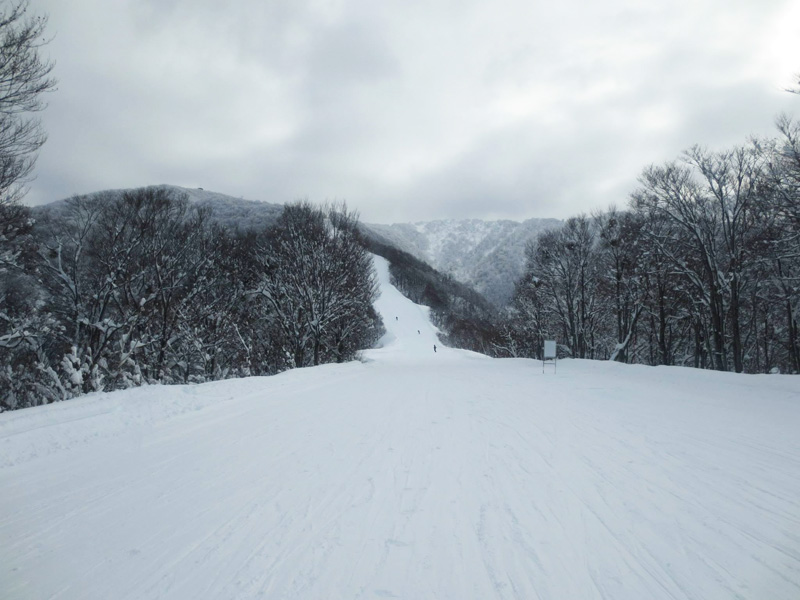 2013/12/23 長野県 野沢温泉スキー場 “ハイスピード＆ロングラン”