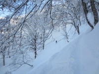 2014/12/31 長野県 野沢温泉スキー場 "降ったよー！パウダーだよー！"