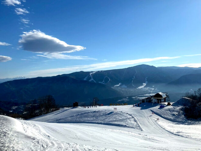 気持ちよく晴れた!