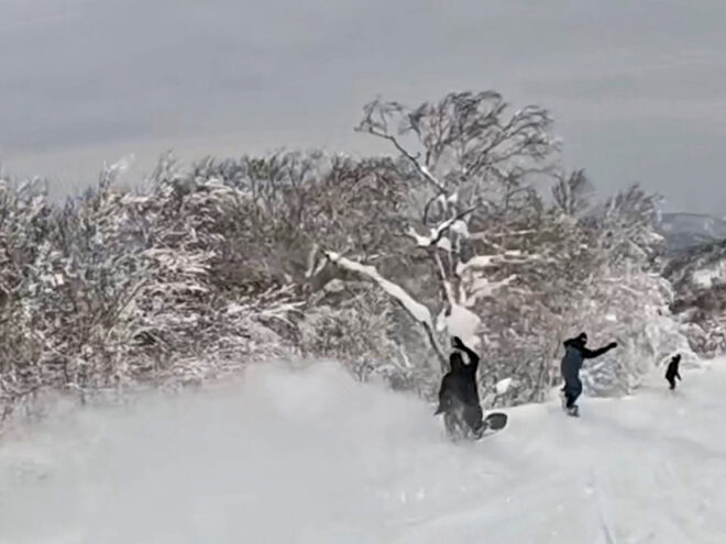 端パウもいっぱい！