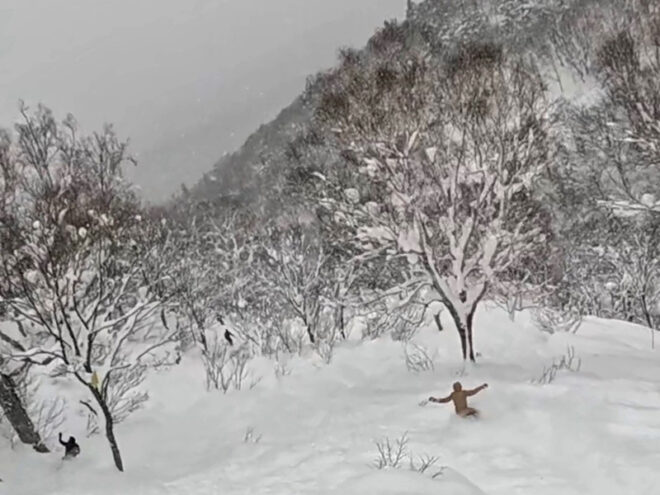 午後でもまだパウダーが残ってる