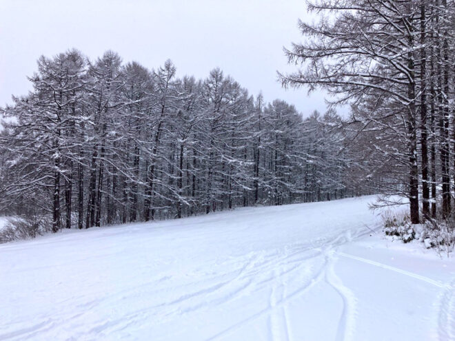 朝の雪付きはそこまで深くなかった