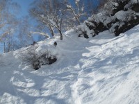 2014/01/12 新潟県 妙高杉ノ原スキー場 “サイドカントリーめぐり”