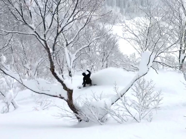 2017/01/25 長野県 戸狩温泉スキー場 “パウダーツリーランの映像”