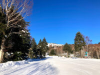 2025/12/20 長野県 志賀高原焼額山スキー場 "雪を求めて"