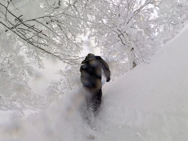 ツリーランもめっちゃ気持ち良い。（動画から切り出し）