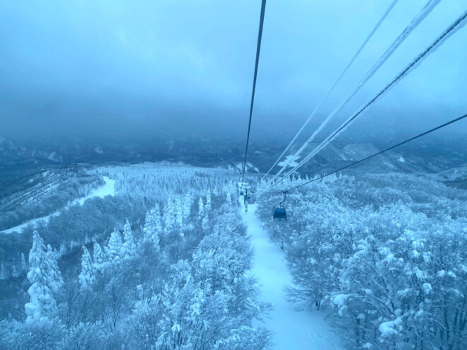 ゴンドラから樹氷林が見えた。